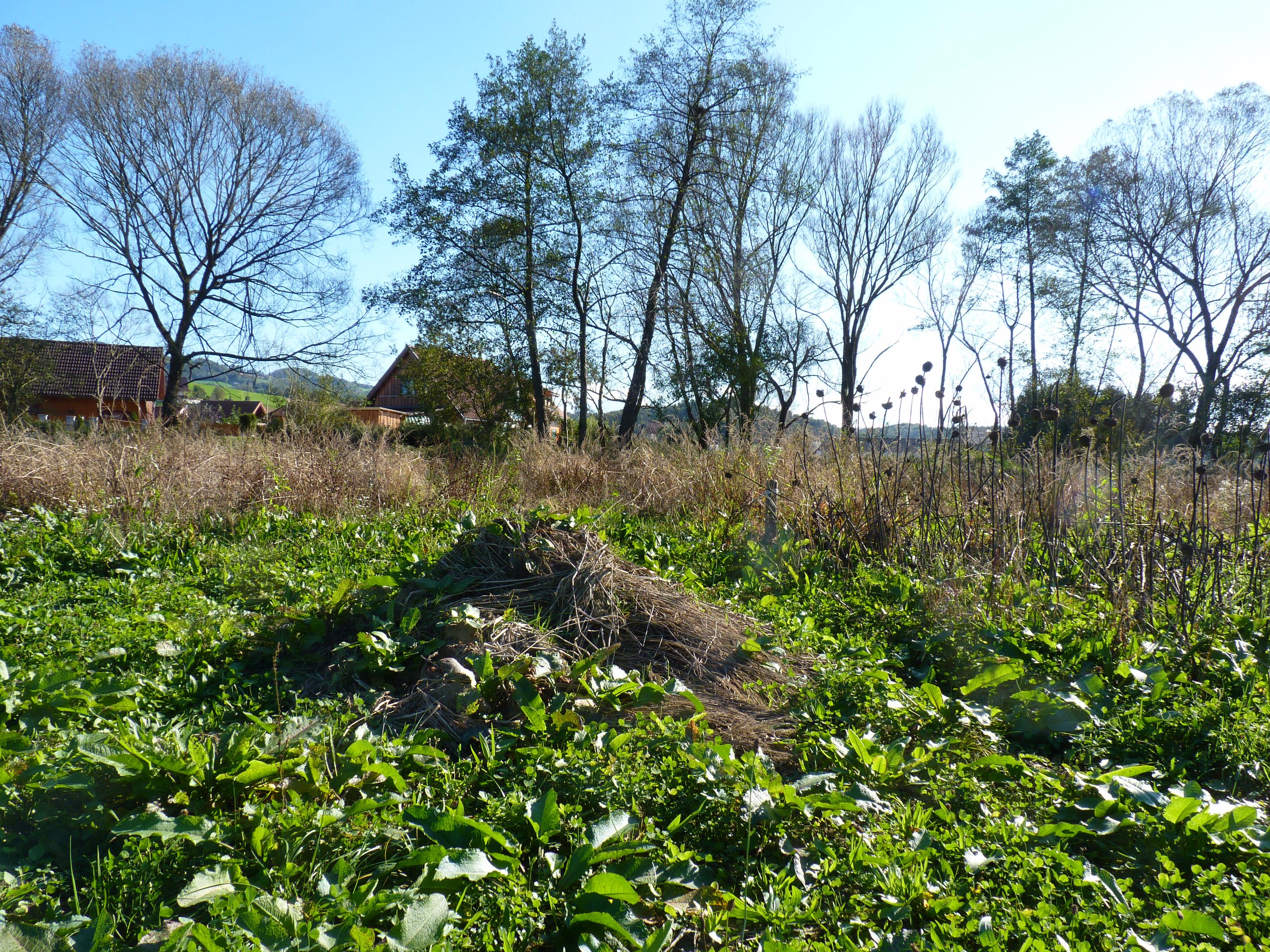 Herbst mit Bach nebenan