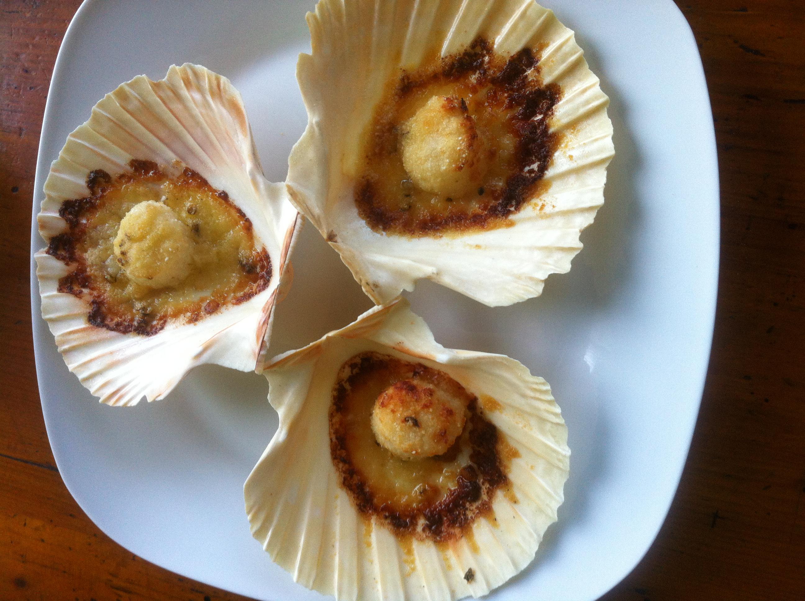 Jakobsmuscheln überbacken